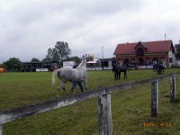 kb20065v.jpg